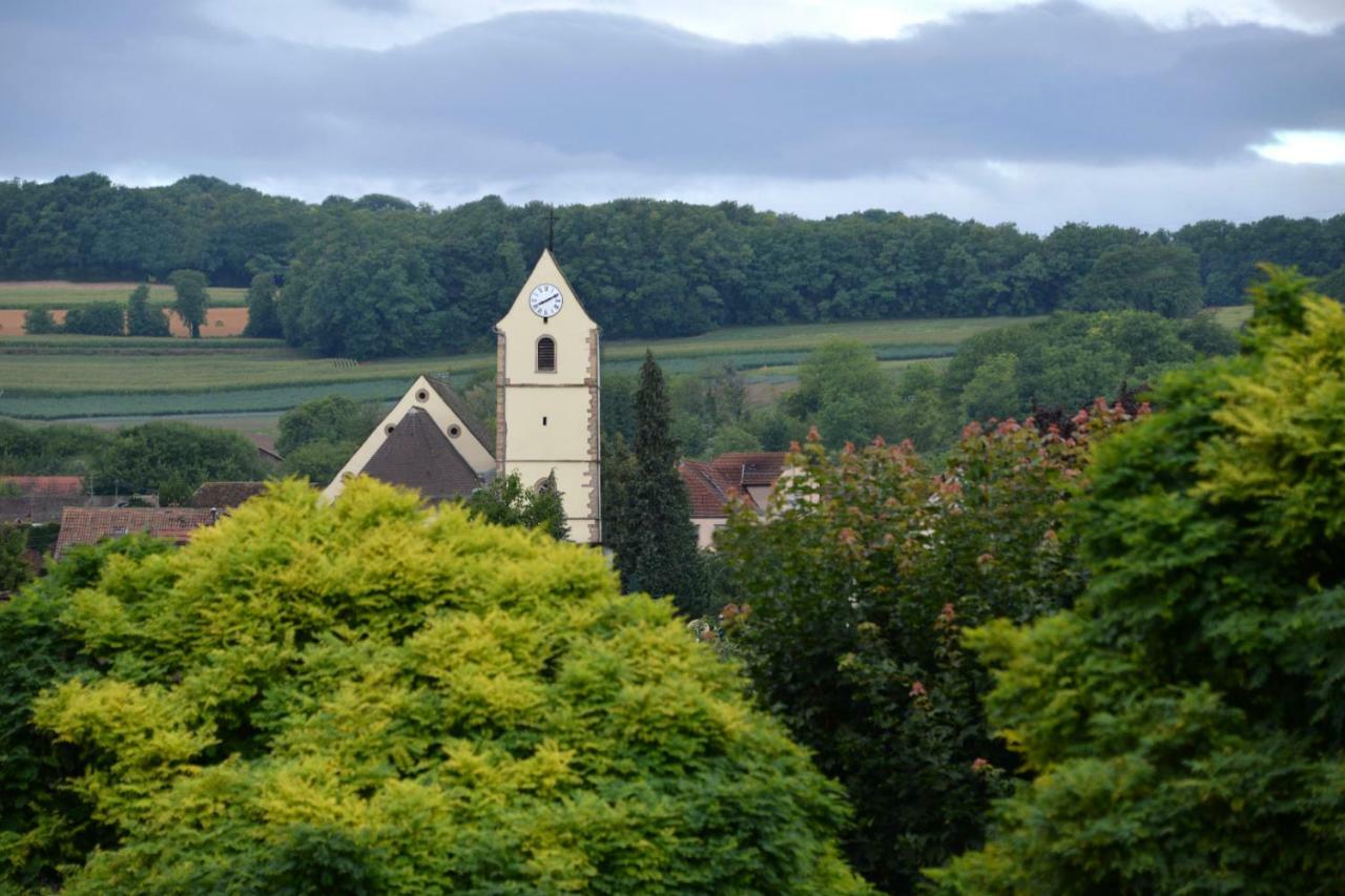 Gite Aux Deux Clochers Zimmersheim المظهر الخارجي الصورة